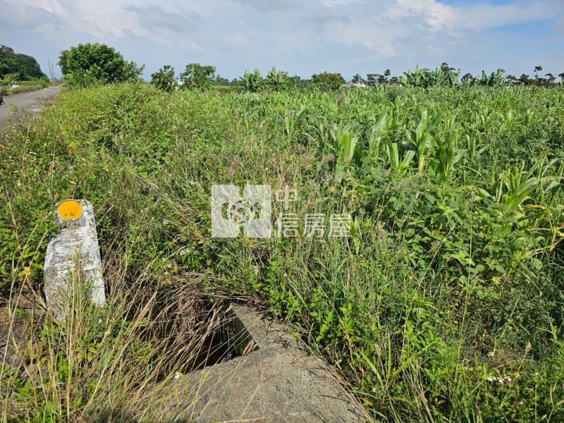 佳里龍安2.2分美農地房屋室內格局與周邊環境