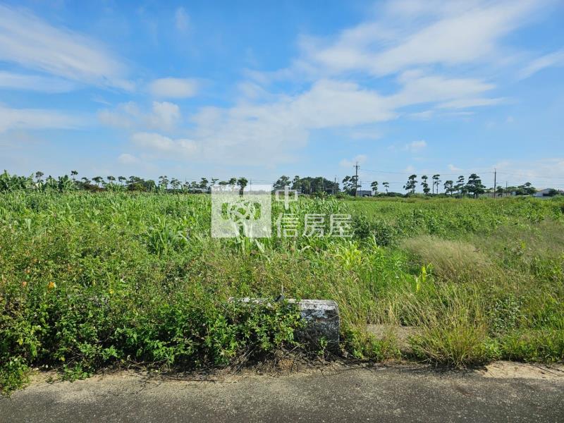 佳里龍安2.2分美農地房屋室內格局與周邊環境