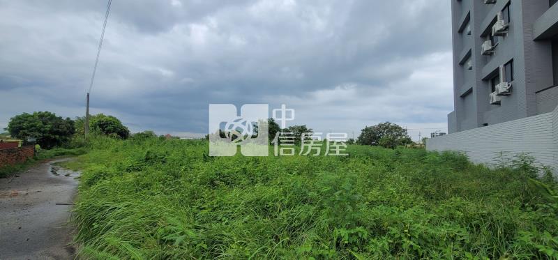 西港都計內農地房屋室內格局與周邊環境