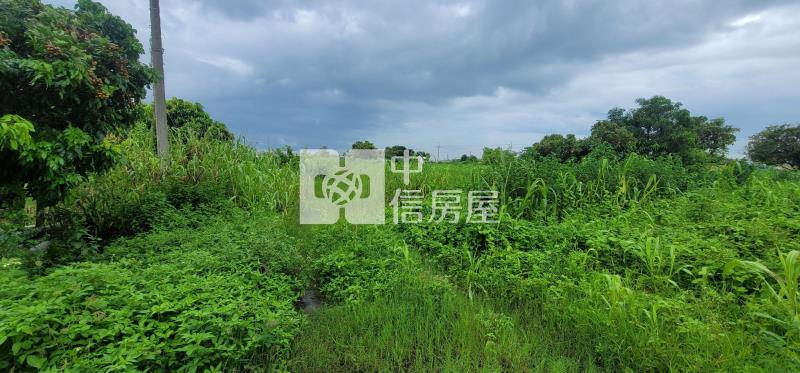 西港都計內農地房屋室內格局與周邊環境