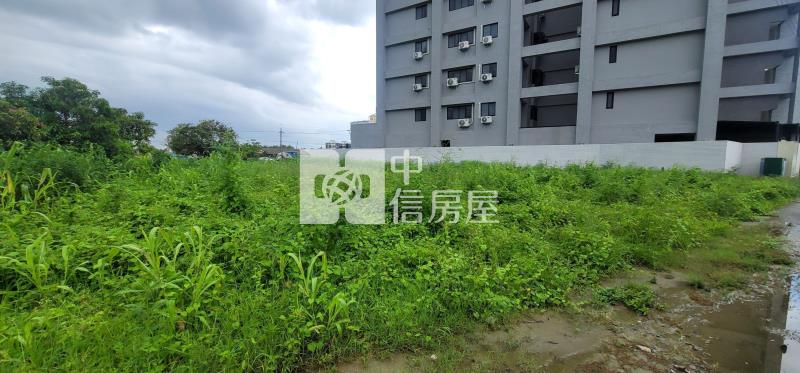 西港都計內農地房屋室內格局與周邊環境