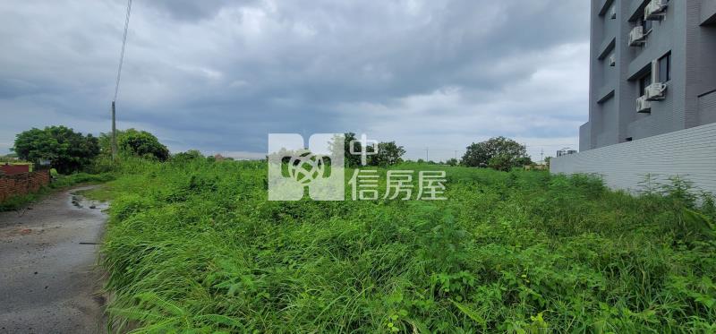 西港都計內農地房屋室內格局與周邊環境