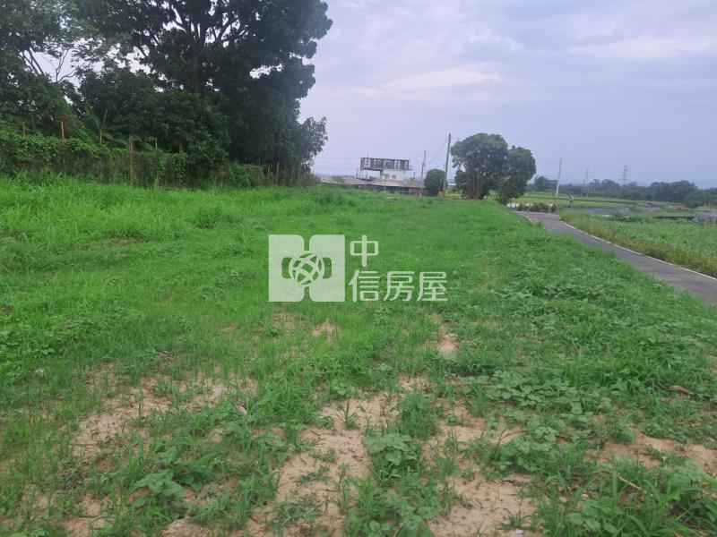 善化大面寬極品農地房屋室內格局與周邊環境