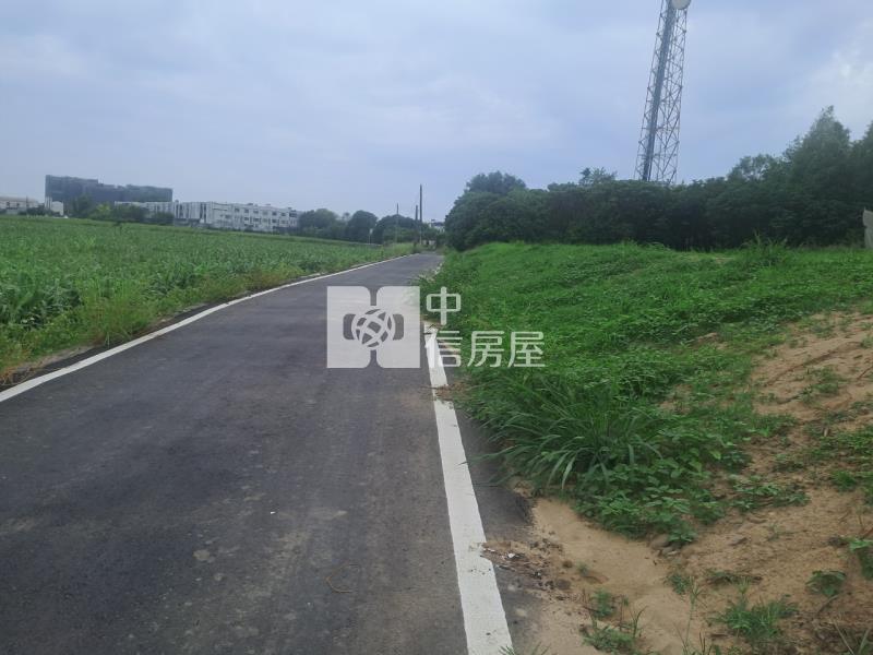 善化大面寬極品農地房屋室內格局與周邊環境