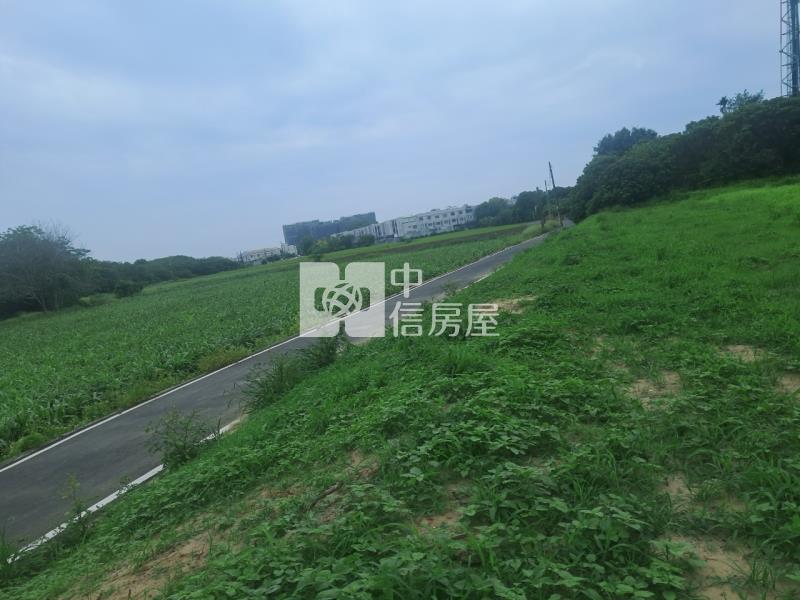 善化大面寬極品農地房屋室內格局與周邊環境