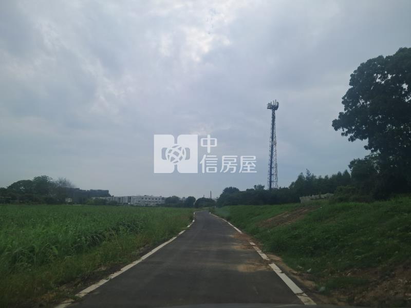 善化大面寬極品農地房屋室內格局與周邊環境