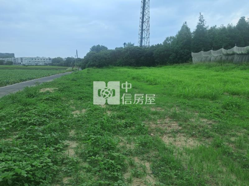 善化大面寬極品農地房屋室內格局與周邊環境