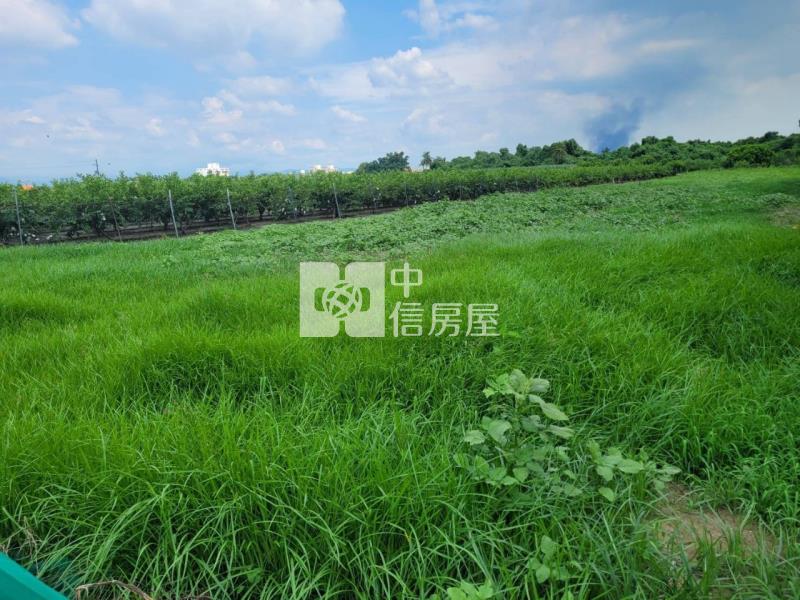 善化2分1優質農地房屋室內格局與周邊環境