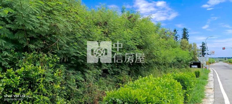 澎湖白沙小赤段面寬農地(專)房屋室內格局與周邊環境