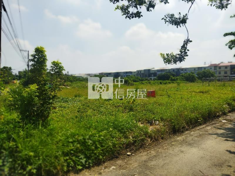 近海東國小都內美農地房屋室內格局與周邊環境