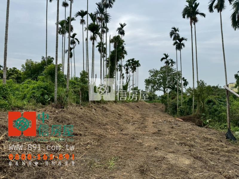 竹崎地政都市計畫農地房屋室內格局與周邊環境