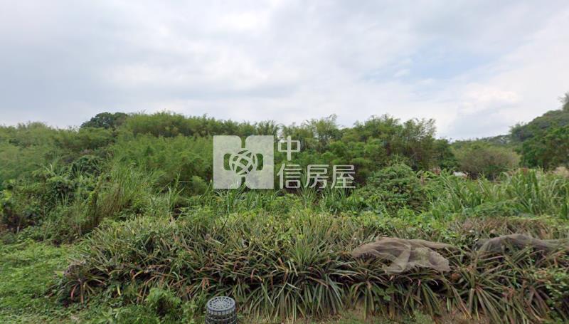 龍崎便宜2分半農地可農保(6)房屋室內格局與周邊環境