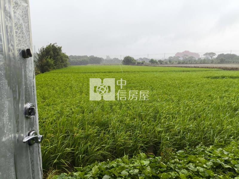 【新世紀】東福路美農地+資材室B房屋室內格局與周邊環境