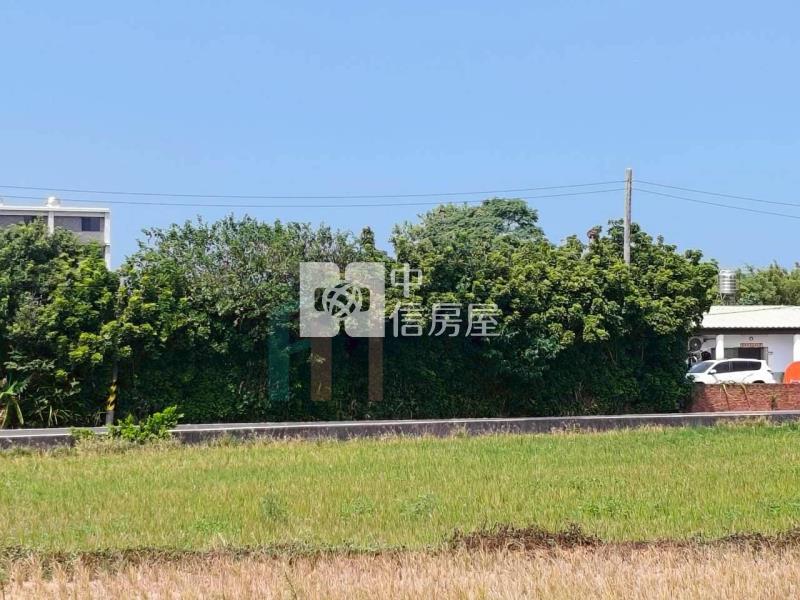 【豐禾】 專約 近青埔高鐵大地坪合法農舍房屋室內格局與周邊環境