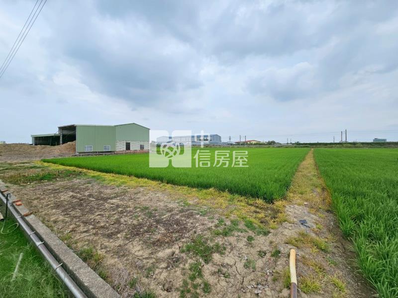 善化北子店近3分有水有電方正農地房屋室內格局與周邊環境