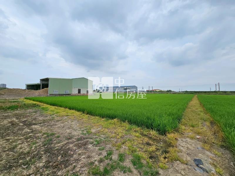 善化北子店近3分有水有電方正農地房屋室內格局與周邊環境