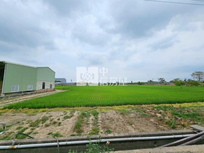 善化北子店近3分有水有電方正農地房屋室內格局與周邊環境