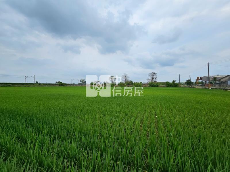 善化北子店近3分有水有電方正農地房屋室內格局與周邊環境