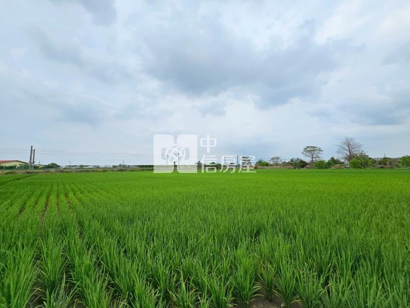 善化北子店近3分有水有電方正農地房屋室內格局與周邊環境