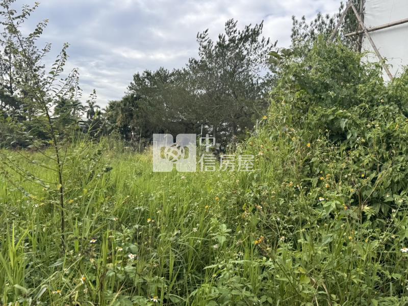 都計內角地房屋室內格局與周邊環境