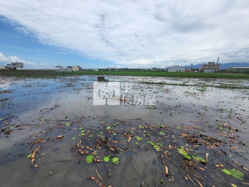 民雄都計內小筆農地(三)房屋室內格局與周邊環境