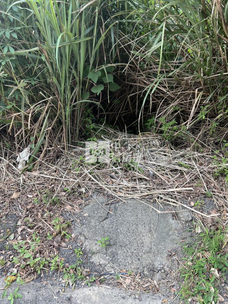 新竹橫山沙坑叁農地+林地房屋室內格局與周邊環境