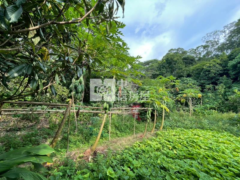 新竹海山超低總價農地30房屋室內格局與周邊環境