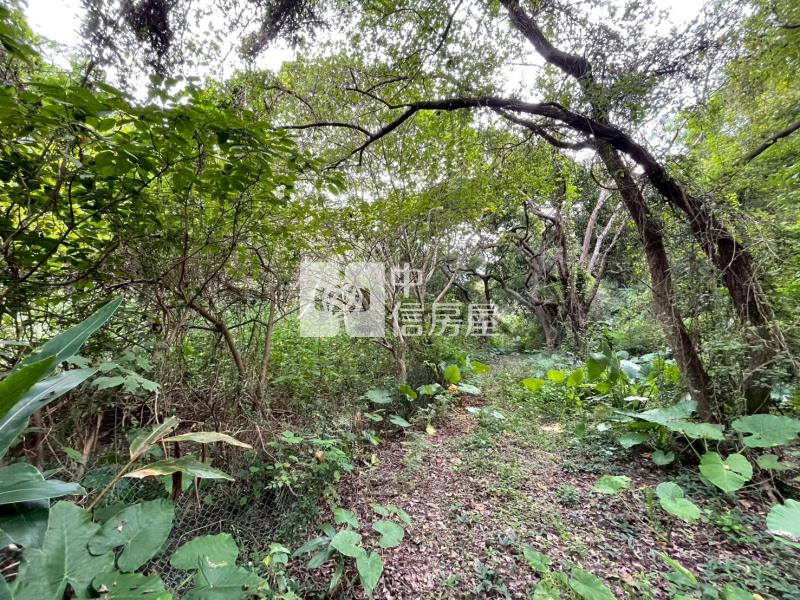 新竹海山超低總價農地41房屋室內格局與周邊環境