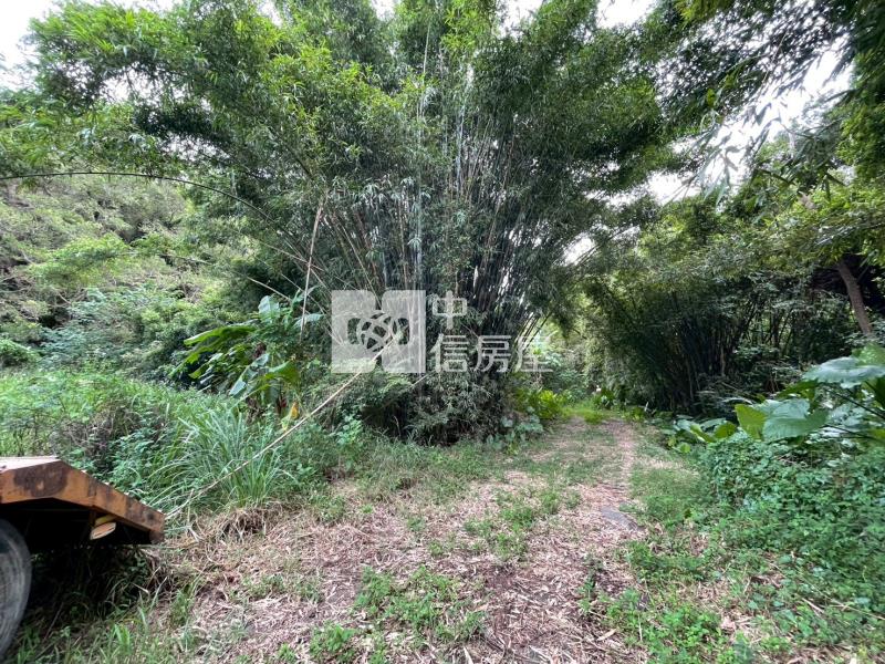 新竹海山超低總價農地42房屋室內格局與周邊環境