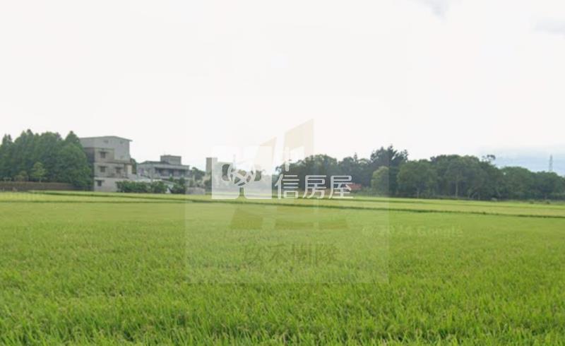 【玖禾】龍潭金龍段一般農房屋室內格局與周邊環境