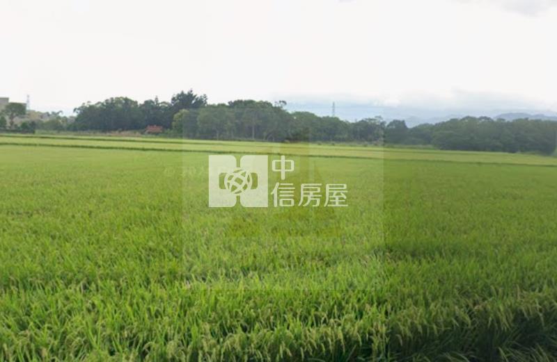 【玖禾】龍潭金龍段一般農房屋室內格局與周邊環境