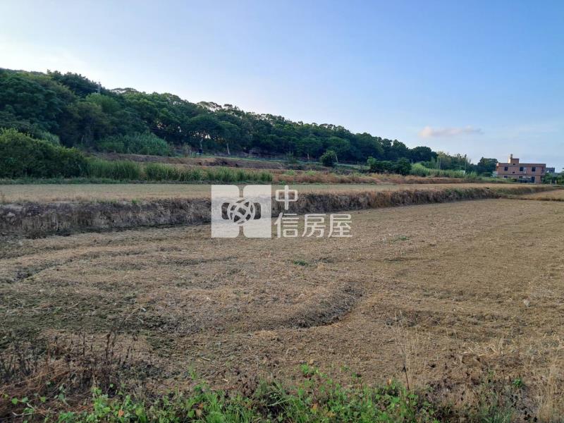 月桃路二段旁大面寬田房屋室內格局與周邊環境