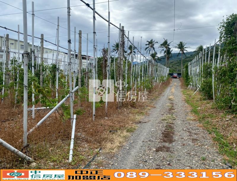 台東太麻里近知本優美農地-農市207房屋室內格局與周邊環境