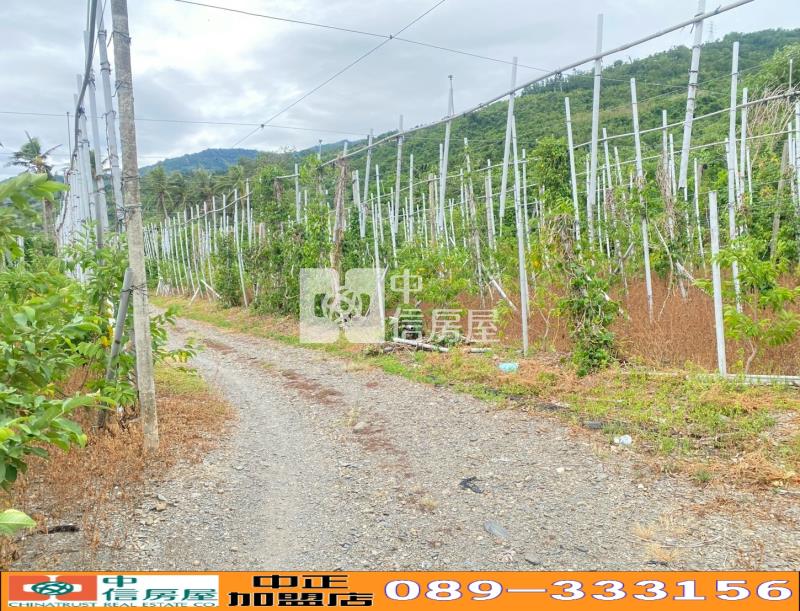 台東太麻里近知本優美農地-農市207房屋室內格局與周邊環境