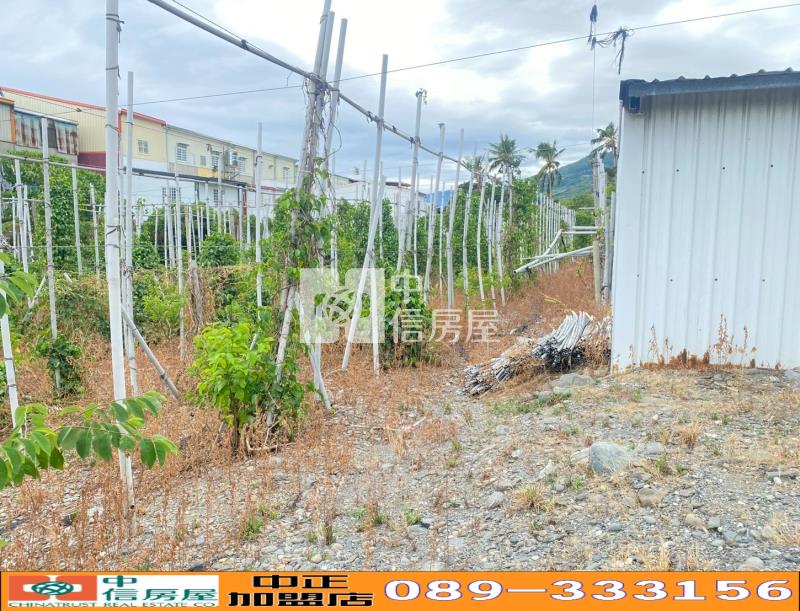 台東太麻里近知本優美農地-農市207房屋室內格局與周邊環境