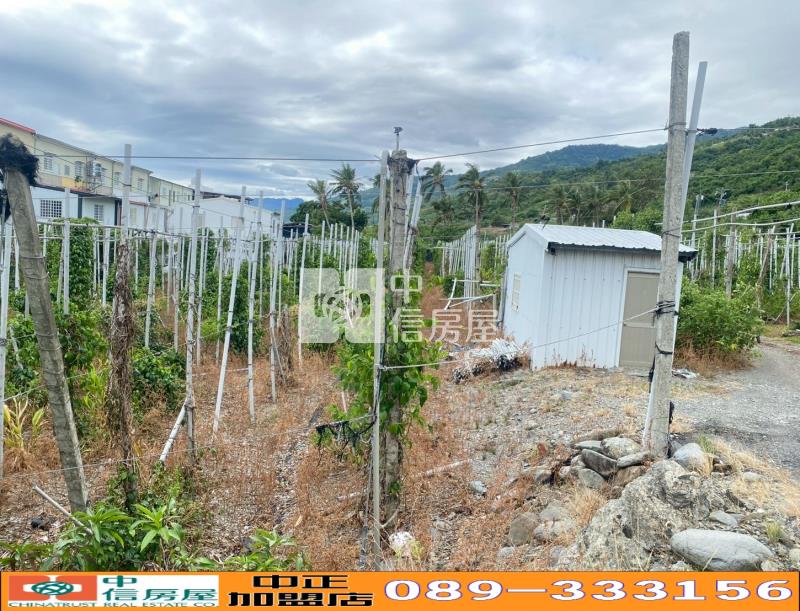 台東太麻里近知本優美農地-農市207房屋室內格局與周邊環境