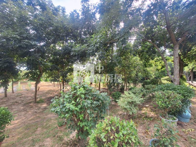 關廟龜洞休閒農地房屋室內格局與周邊環境