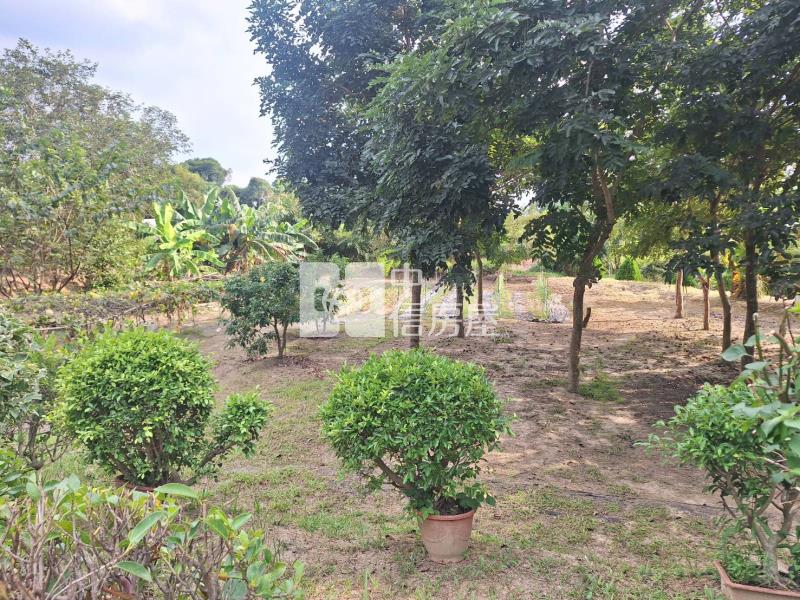 關廟龜洞休閒農地房屋室內格局與周邊環境