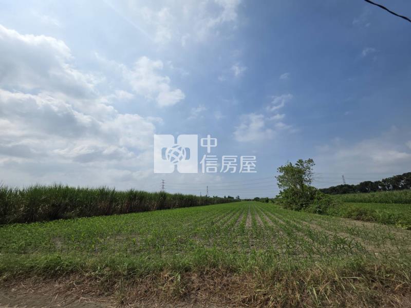 南科旁麻善段美農地房屋室內格局與周邊環境