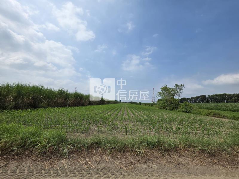 南科旁麻善段美農地房屋室內格局與周邊環境