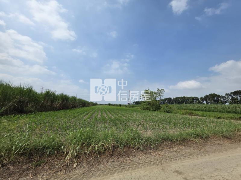 南科旁麻善段美農地房屋室內格局與周邊環境