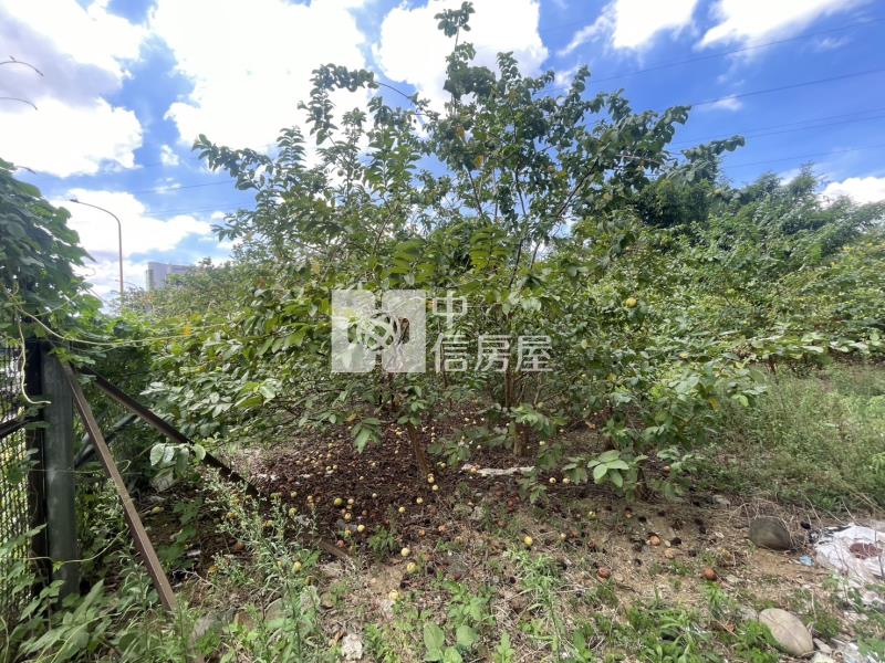 16300大溪正20米石園路大面寬一般農房屋室內格局與周邊環境