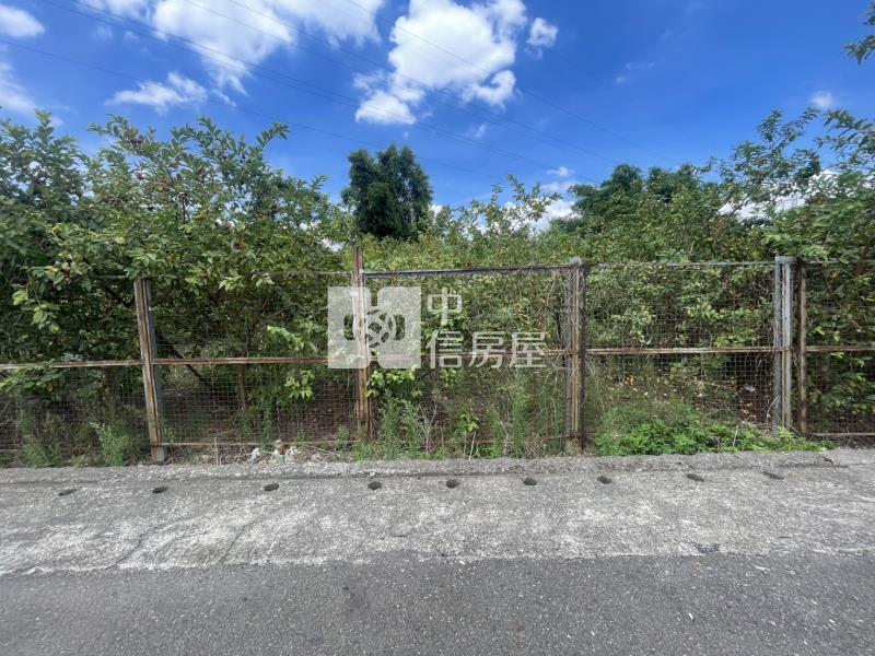 16300大溪正20米石園路大面寬一般農房屋室內格局與周邊環境