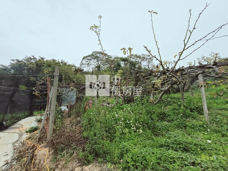 (專任)大湖山頂休閒農保用地房屋室內格局與周邊環境