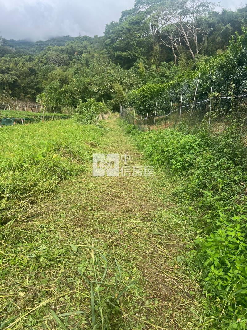 (專任)大湖山頂休閒農保用地房屋室內格局與周邊環境