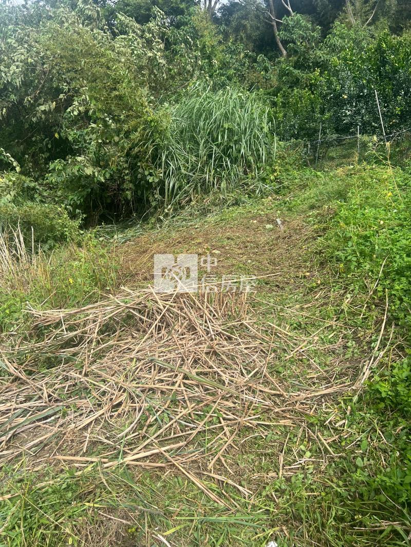 (專任)大湖山頂休閒農保用地房屋室內格局與周邊環境