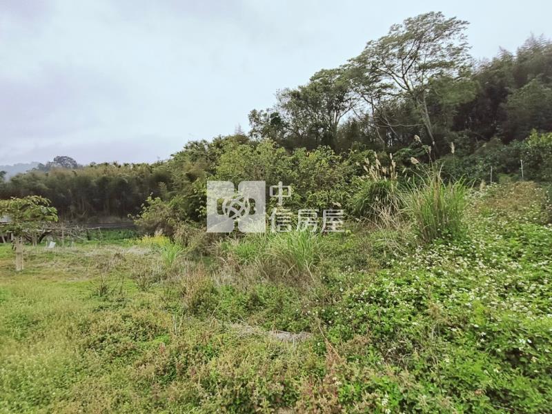 (專任)大湖山頂休閒農保用地房屋室內格局與周邊環境