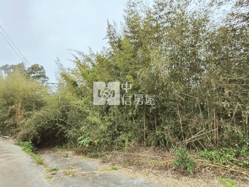 (專任)大湖山頂休閒農保用地房屋室內格局與周邊環境