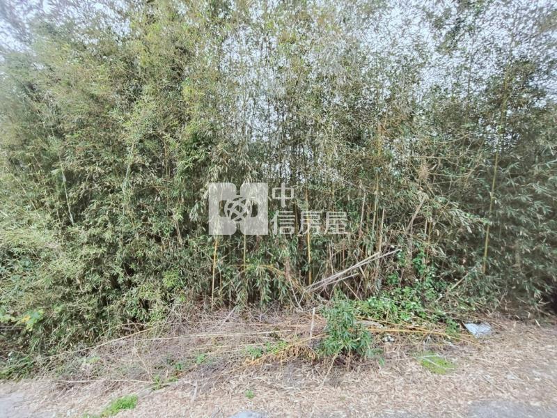 (專任)大湖山頂休閒農保用地房屋室內格局與周邊環境