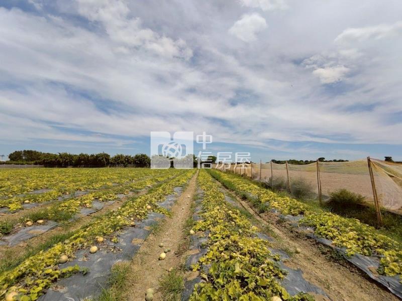 新屋大坡農地資材室房屋室內格局與周邊環境